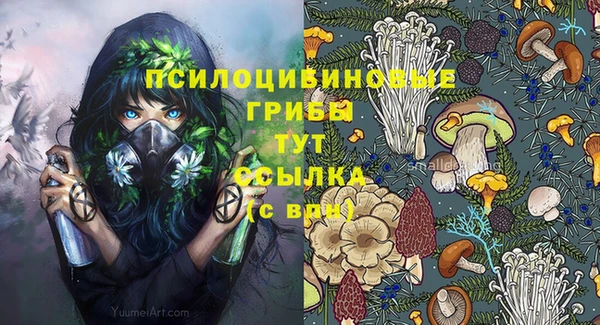 COCAINE Алексеевка