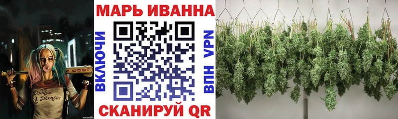 Конопля сатива Сосенский